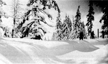 snow scene