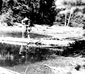 pond