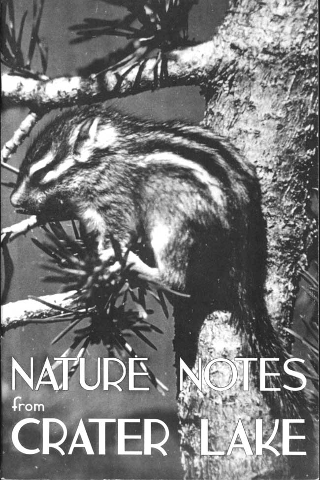 issue cover