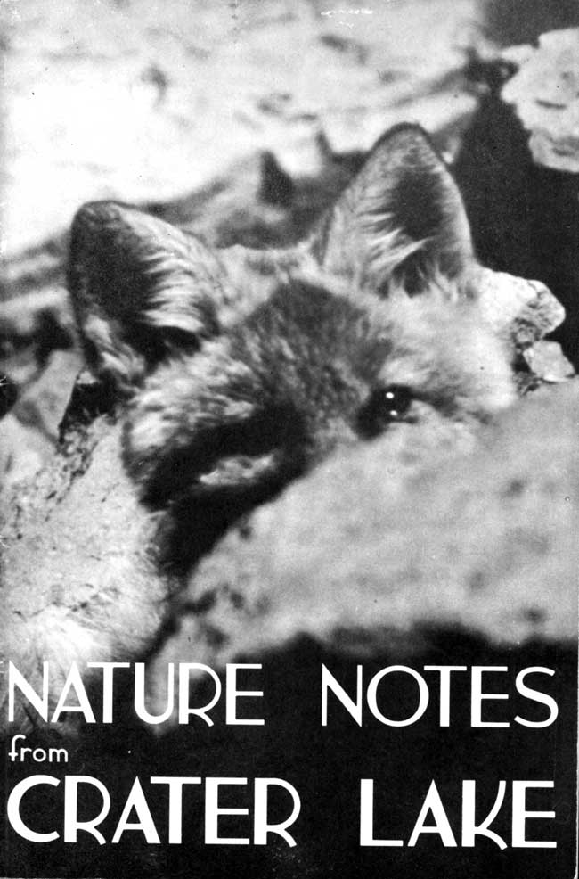 issue cover