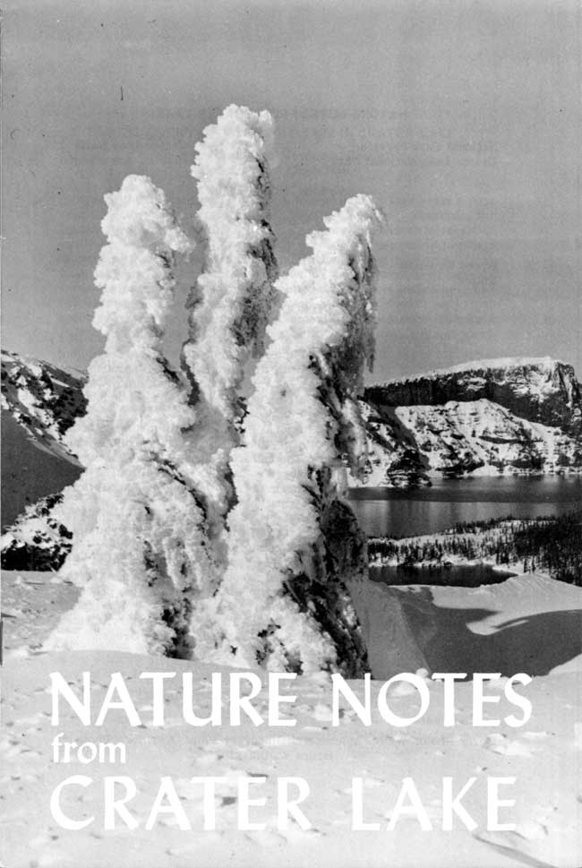issue cover