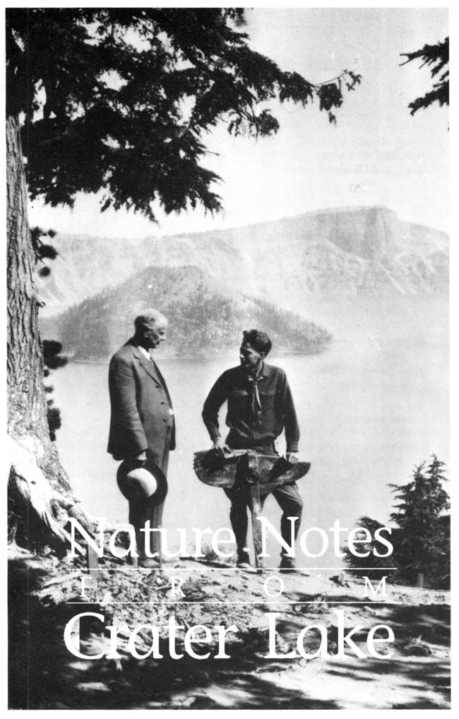 issue cover