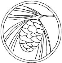 sketch of cone