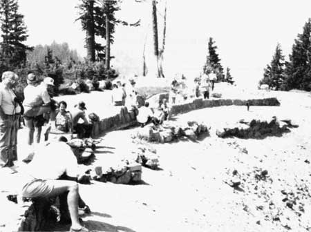 visitors feeding ground squirrels