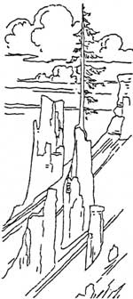 the Pinnacles