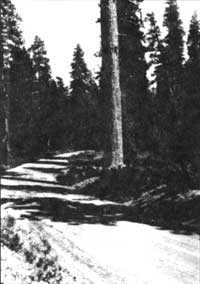 Hwy 62