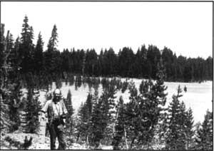 pumice field