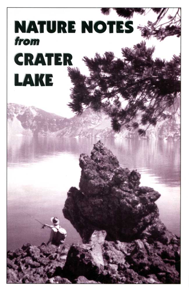 issue cover