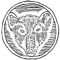 black bear seal