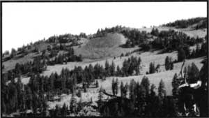 Williams Crater