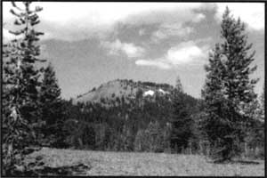 Timber Crater