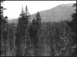 Crater Peak