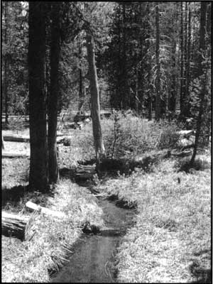 Lost Creek