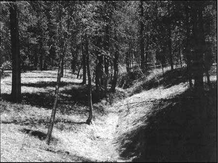 Mason's Creek