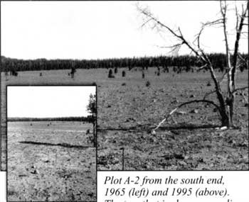 plot A-2