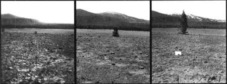 plot D-1