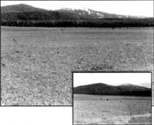 plot C-1