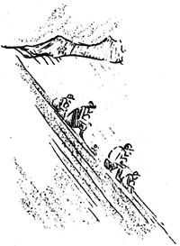 toboganning down slope