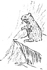 pika