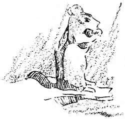 Oscar the golden-mantled ground squirrel