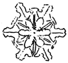 snowflake