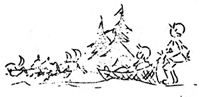 sled dogs