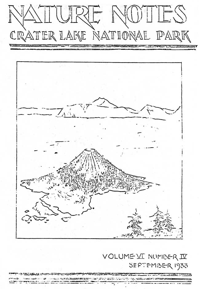 issue cover