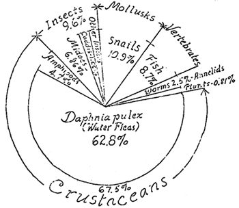 chart of food of Crater Lake Fish