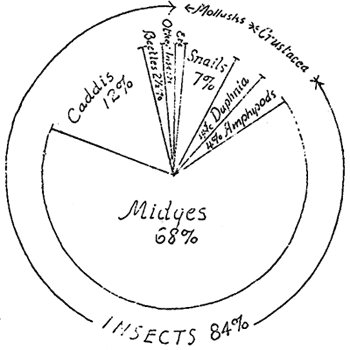 chart of food of Crater Lake Fish