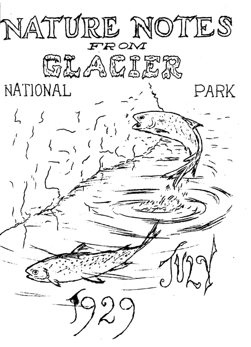 issue cover