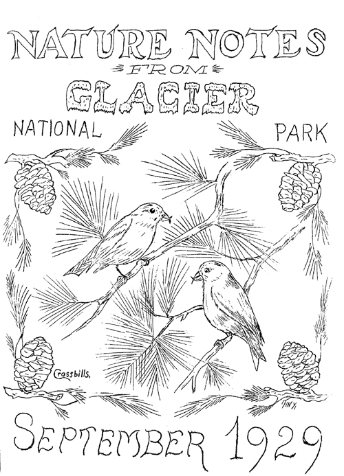 issue cover