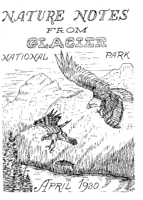 issue cover