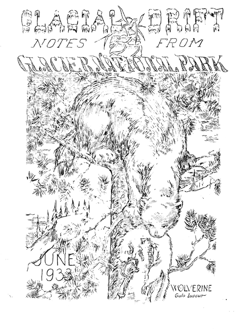 issue cover