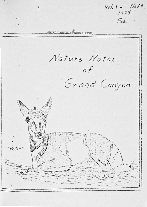 issue cover