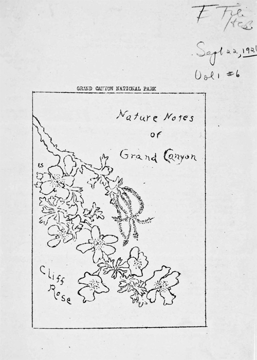 issue cover
