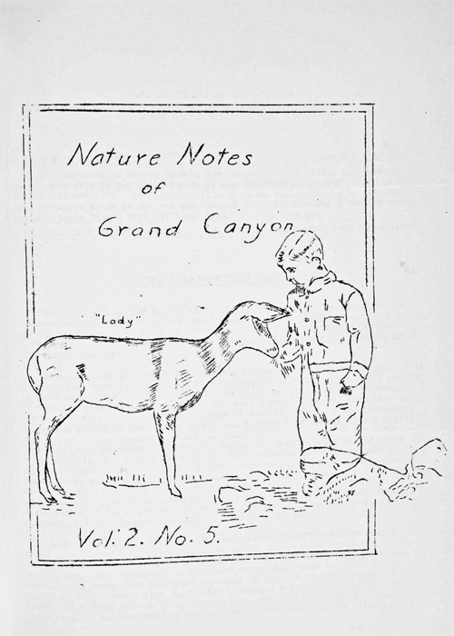 issue cover