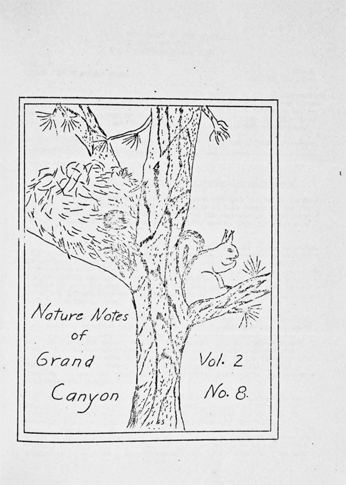 issue cover