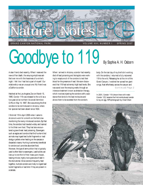 issue cover