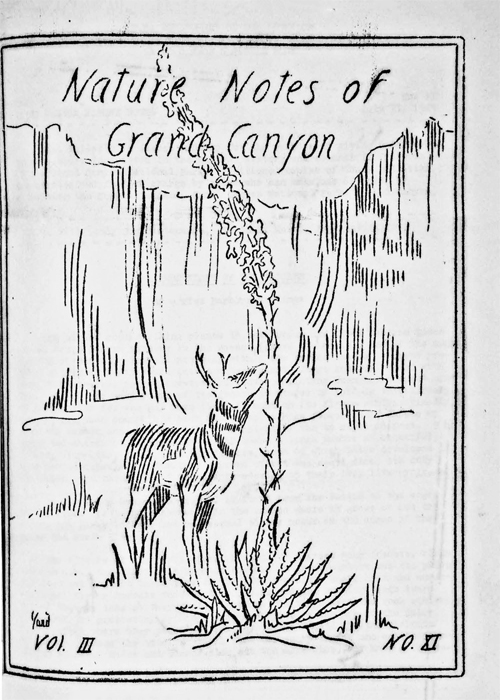 issue cover