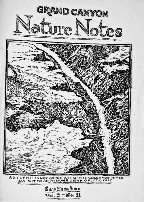 issue cover