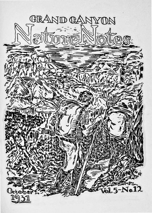 issue cover