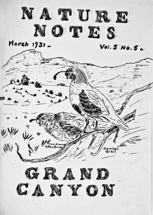 issue cover