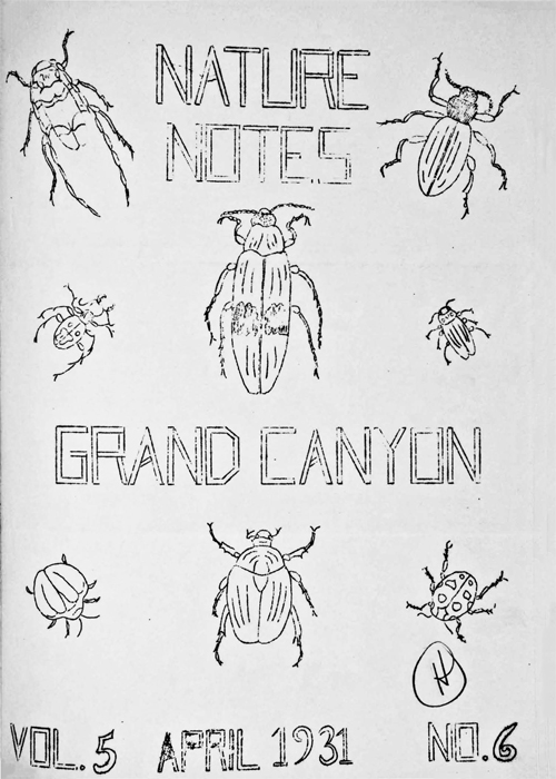 issue cover