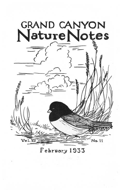 issue cover