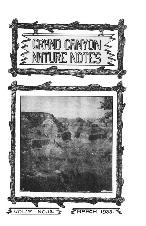 issue cover