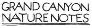 GRAND CANYON NATURE NOTES
