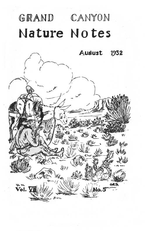 issue cover