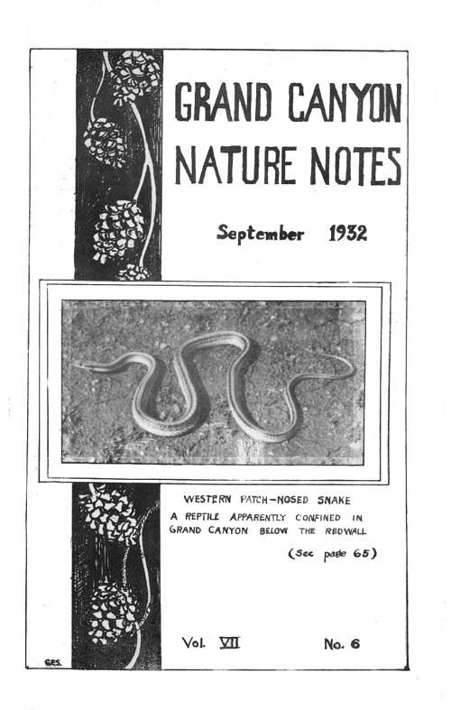 cover to Notes
