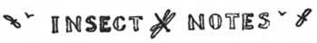INSECT NOTES