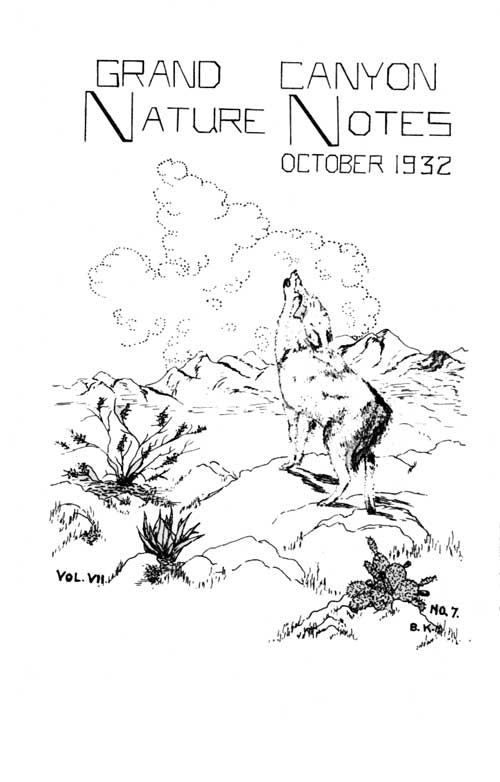 issue cover